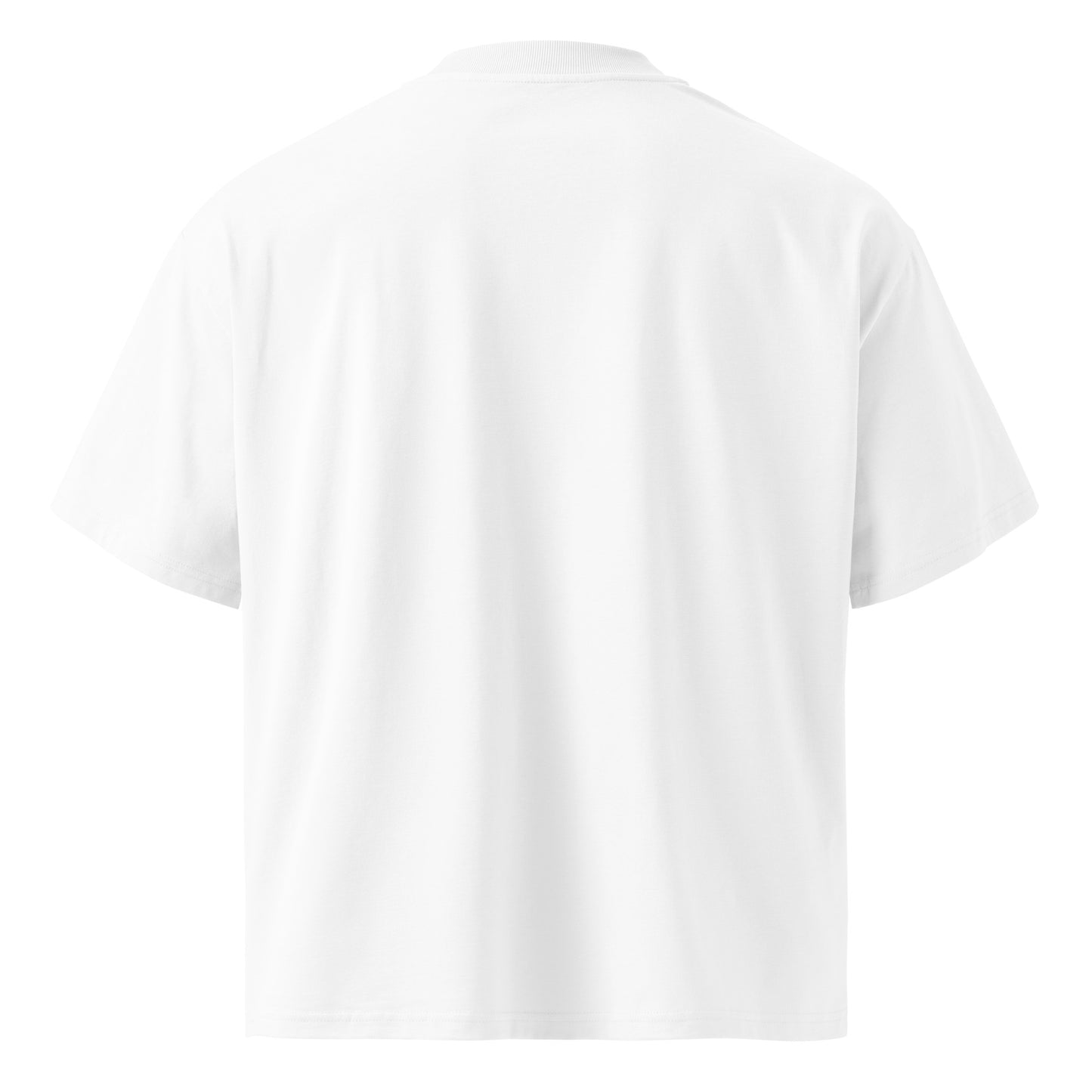 True Champion oversized men's tee back view - Mavrosia